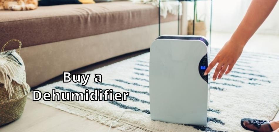 Buy a Dehumidifier