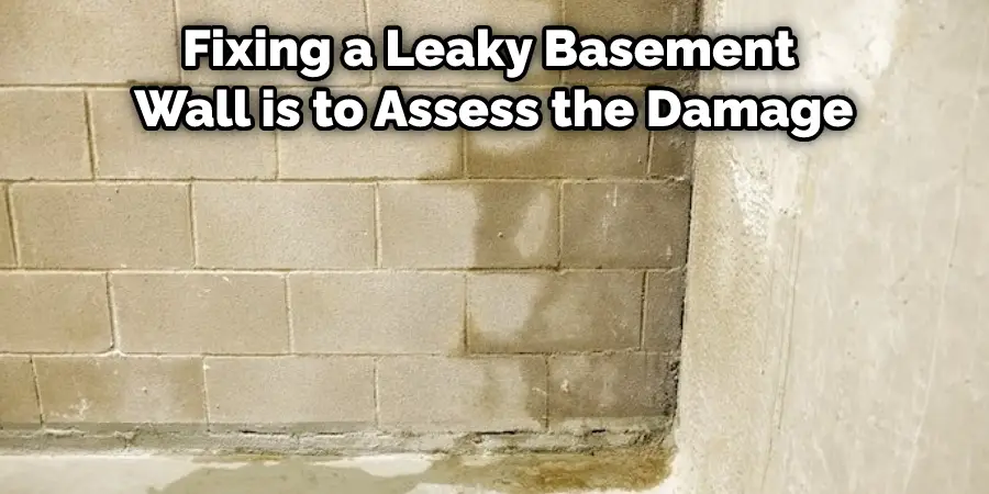 Fixing a Leaky Basement Wall is to Assess the Damage