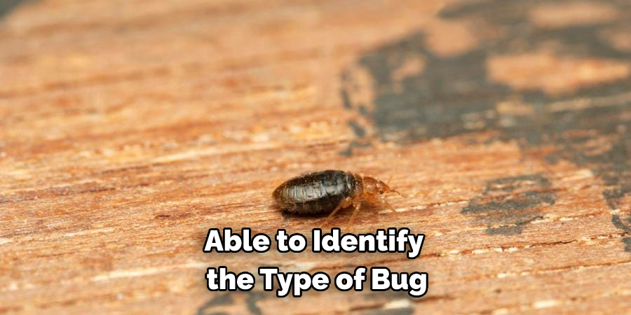 Able to Identify the Type of Bug