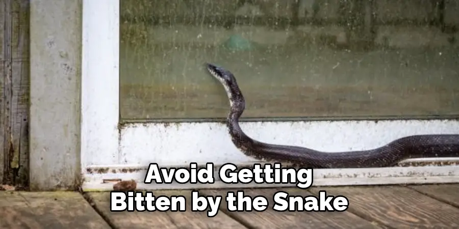 Avoid Getting Bitten by the Snake