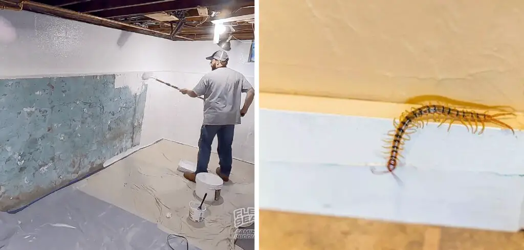 How to Seal Basement From Bugs
