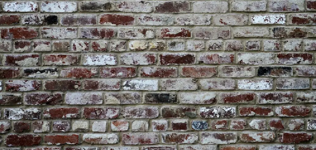 How to Stop Efflorescence on Basement Walls