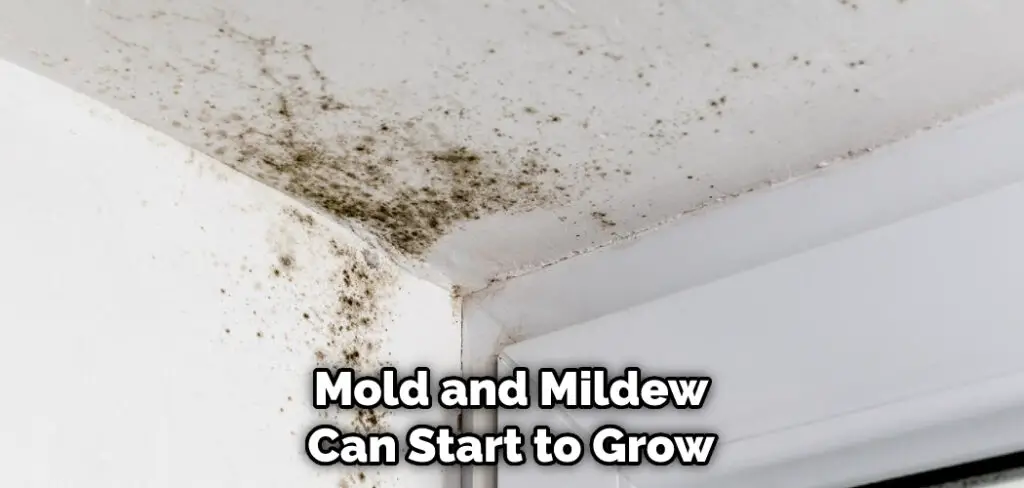 Mold and Mildew Can Start to Grow