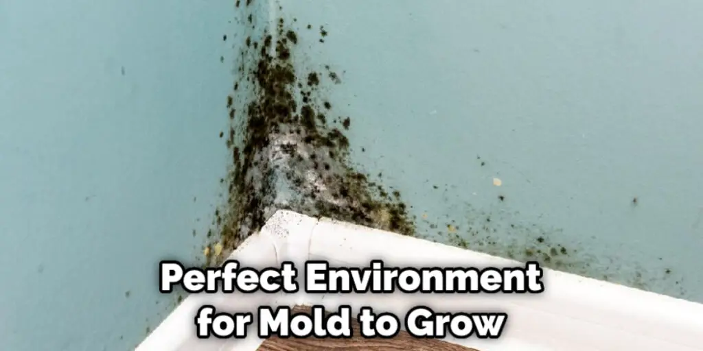 Perfect Environment for Mold to Grow