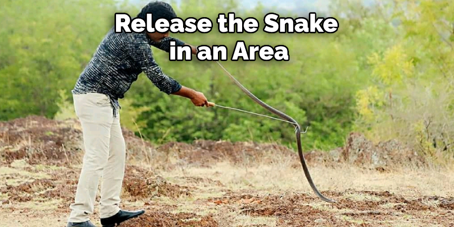 Release the Snake in an Area