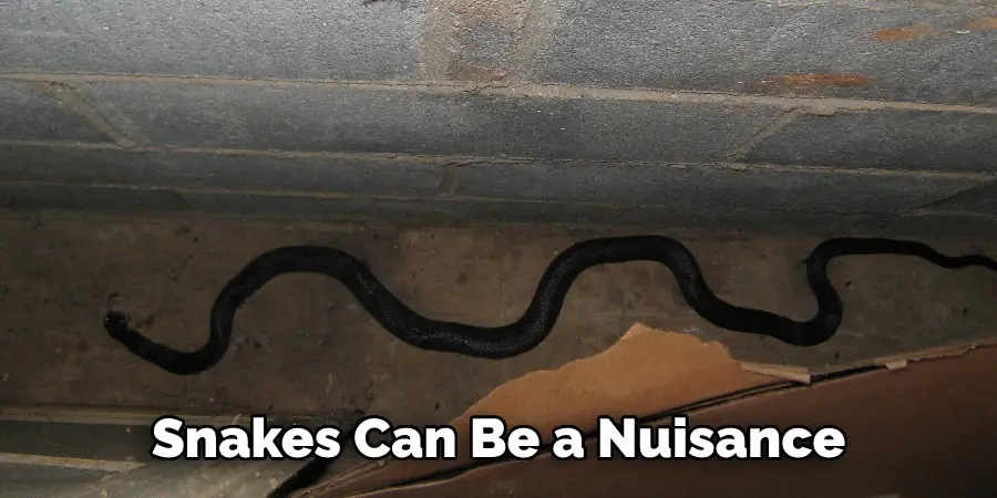 Snakes Can Be a Nuisance