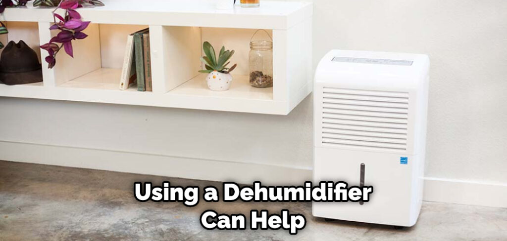 Using a Dehumidifier Can Help