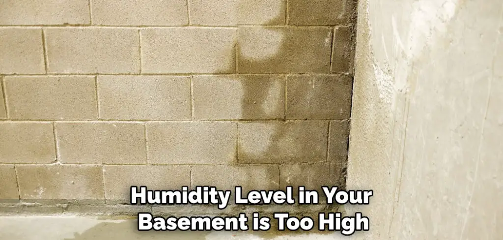 Humidity Level in Your Basement is Too High