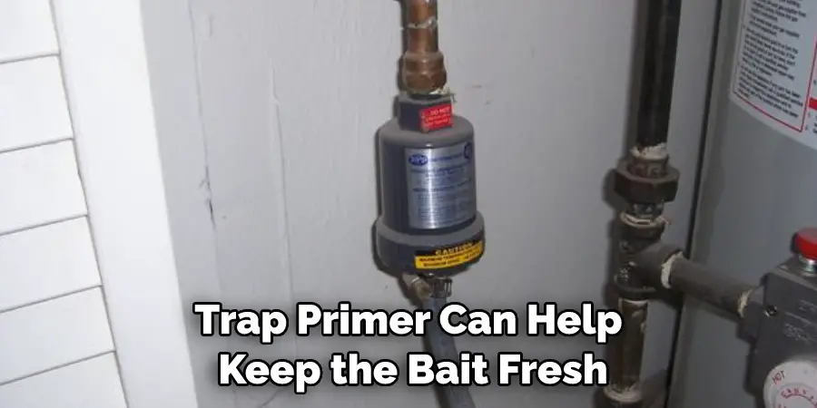 Trap Primer Can Help Keep the Bait Fresh