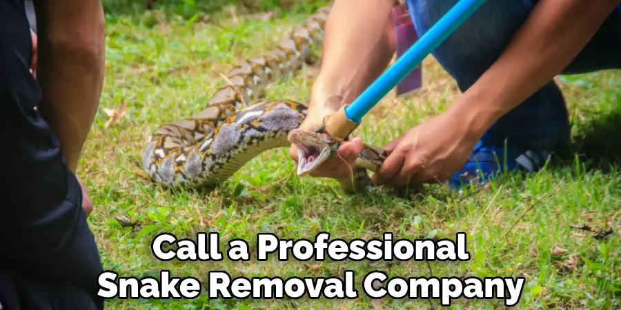 Call a Professional Snake Removal Company