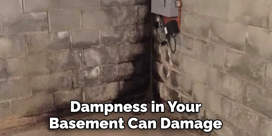 Dampness in Your Basement Can Damage 