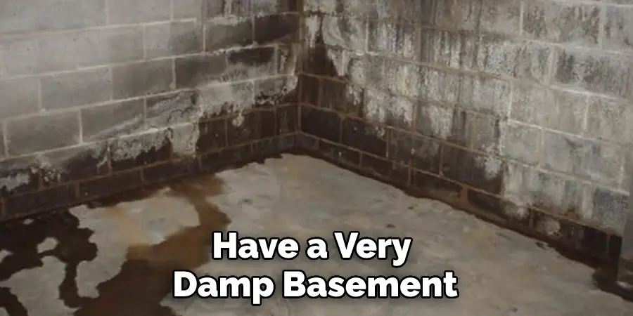 Have a Very Damp Basement