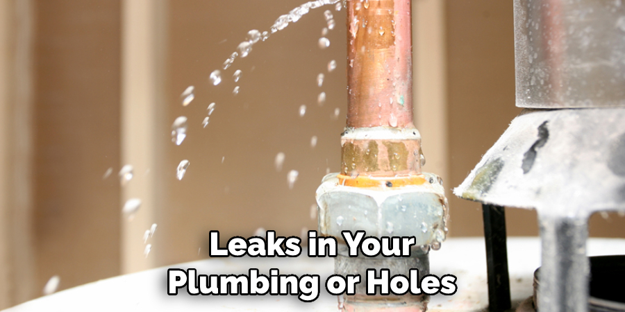 Leaks in Your Plumbing or Holes