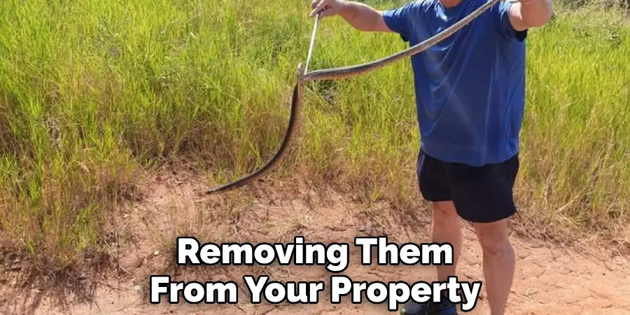 Removing Them From Your Property