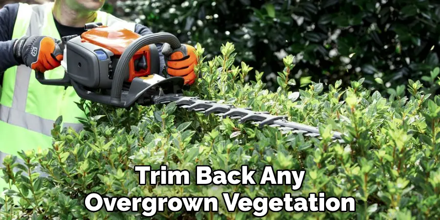 Trim Back Any Overgrown Vegetation