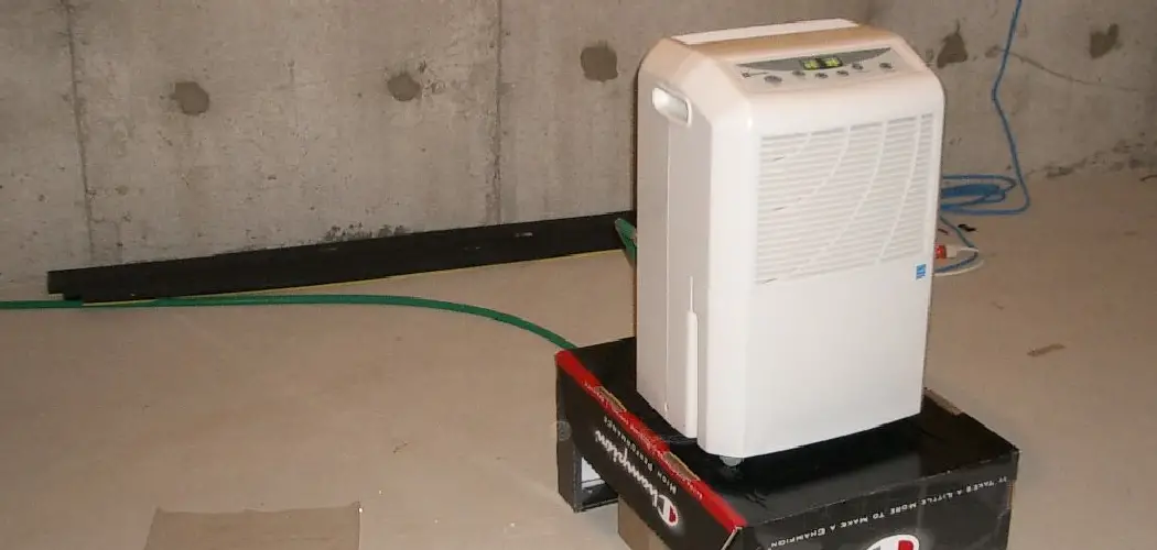 Where to Drain Dehumidifier in Basement