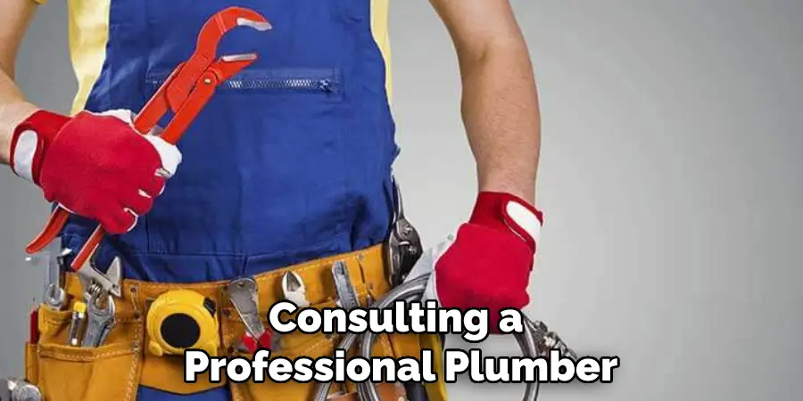 Consulting a Professional Plumber
