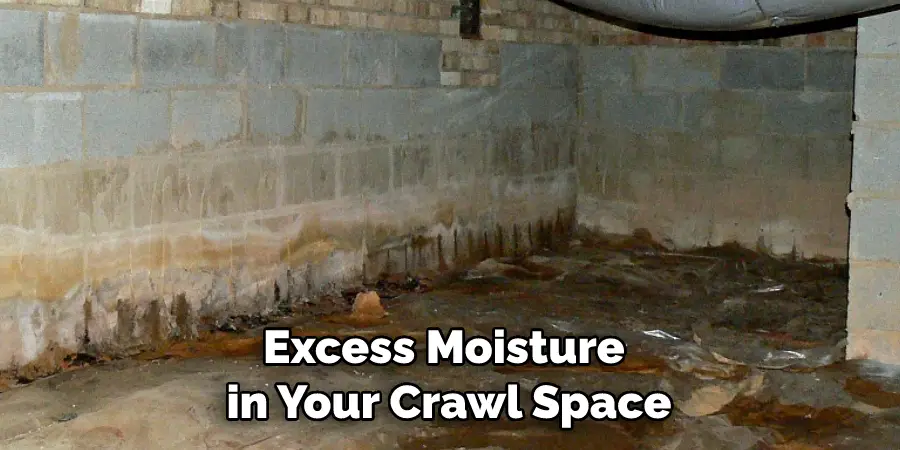 Excess Moisture in Your Crawl Space