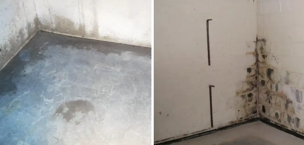 How to Remove Humidity From Basement