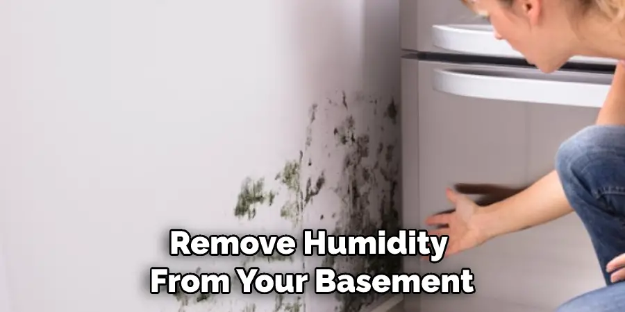 Remove Humidity From Your Basement