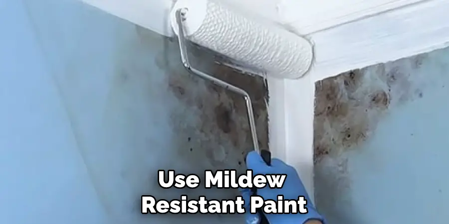Use Mildew-resistant Paint