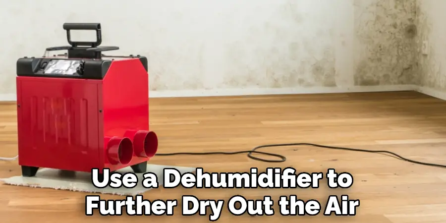 Use a Dehumidifier to Further Dry Out the Air