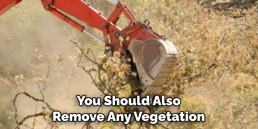 You Should Also Remove Any Vegetation