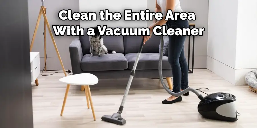 Clean the Entire Area With a Vacuum Cleaner