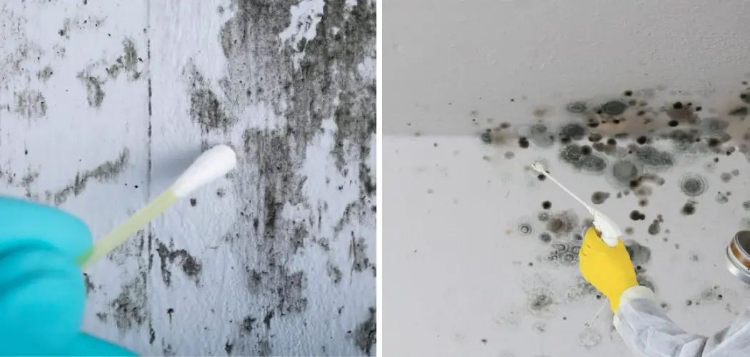 How to Clean Concrete Basement Walls