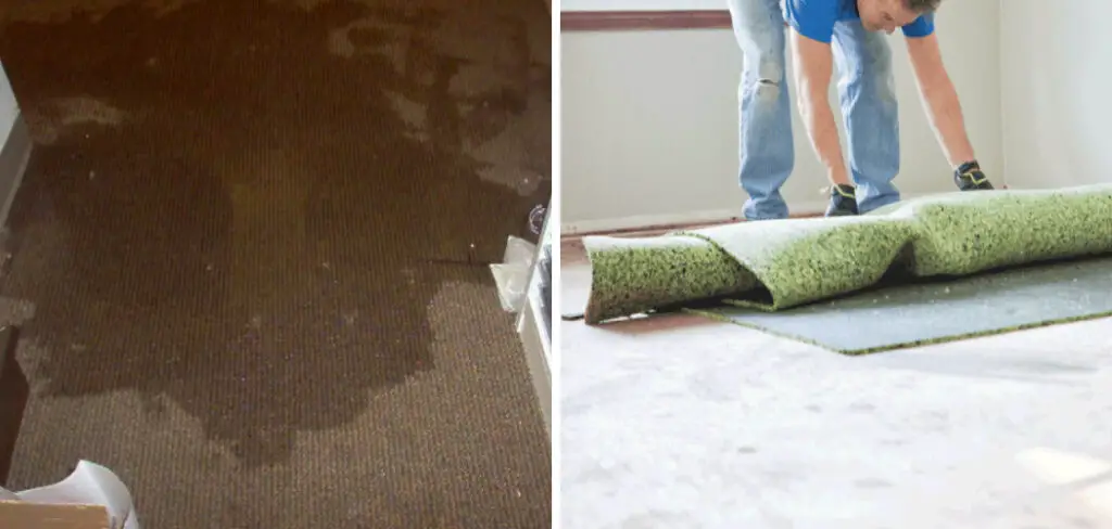 How to Get Water Out of Basement Carpet