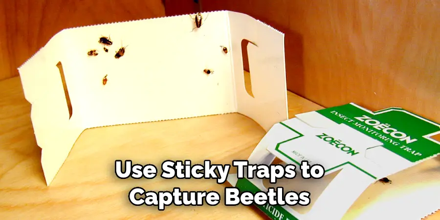Use Sticky Traps to Capture Beetles