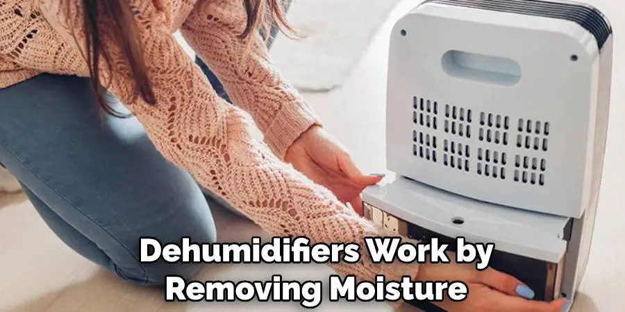 Dehumidifiers Work by Removing Moisture