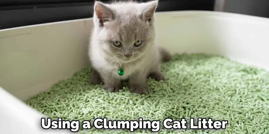 Using a Clumping Cat Litter