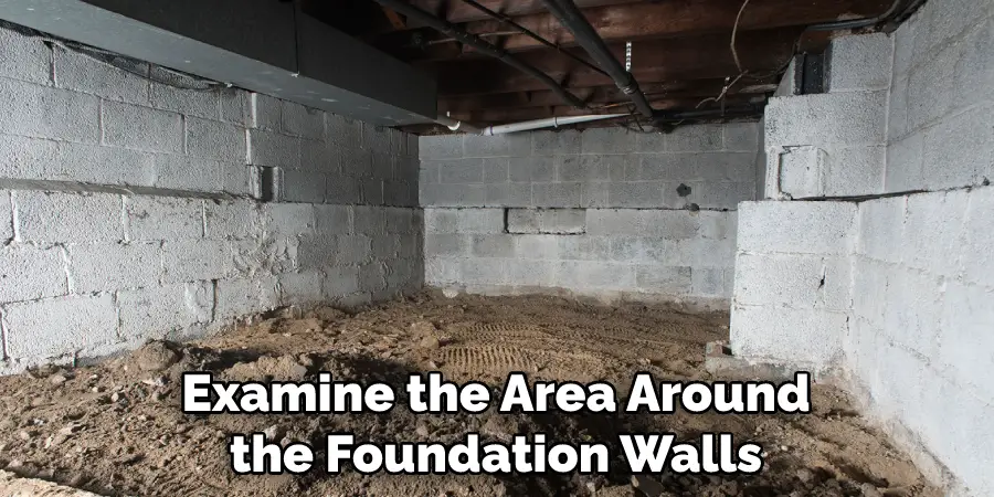 Examine the Area Around the Foundation Walls