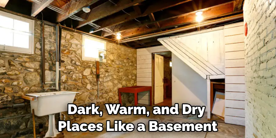 Dark Warm and Dry Places Like a Basement