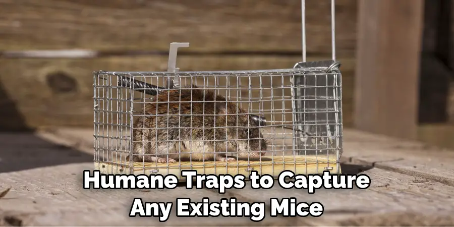 Humane Traps to Capture Any Existing Mice