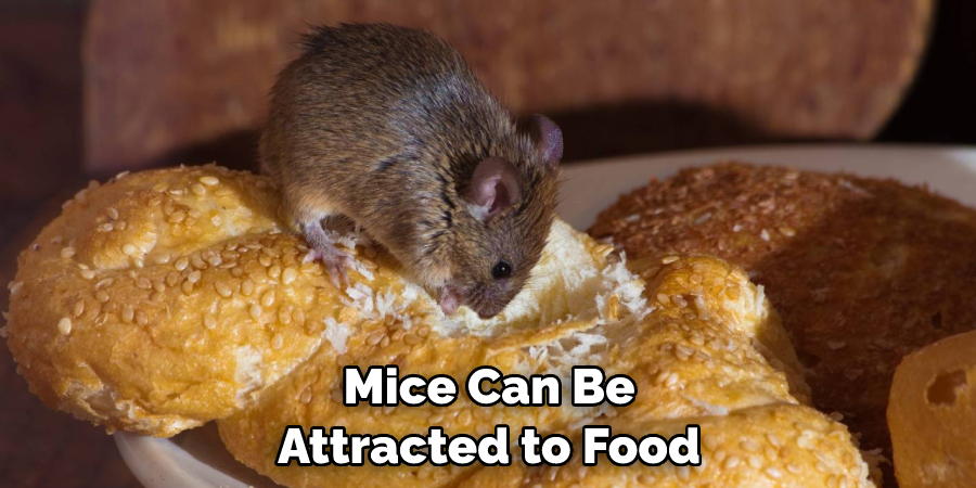 Mice Can Be Attracted to Food