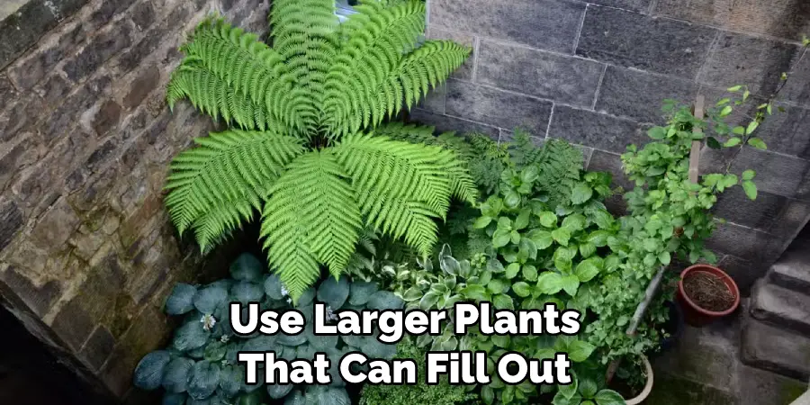 Use Larger Plants That Can Fill Out