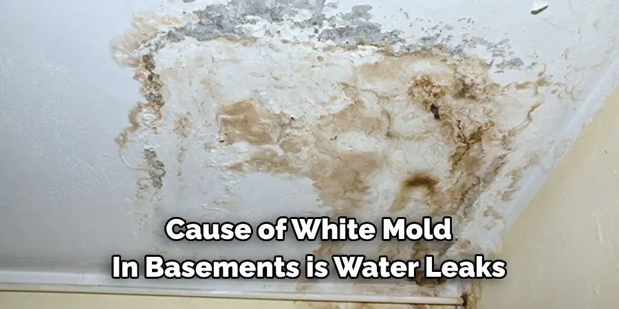 Cause of White Mold 
In Basements is Water Leaks