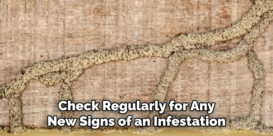 Check Regularly for Any New Signs of an Infestation