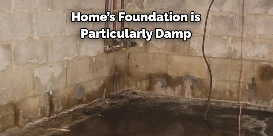 Home’s Foundation is 
Particularly Damp