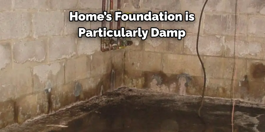 Home’s Foundation is
Particularly Damp