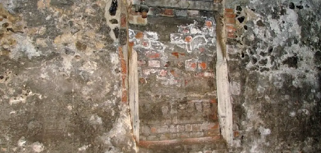 How to Remove Mold From Basement Walls