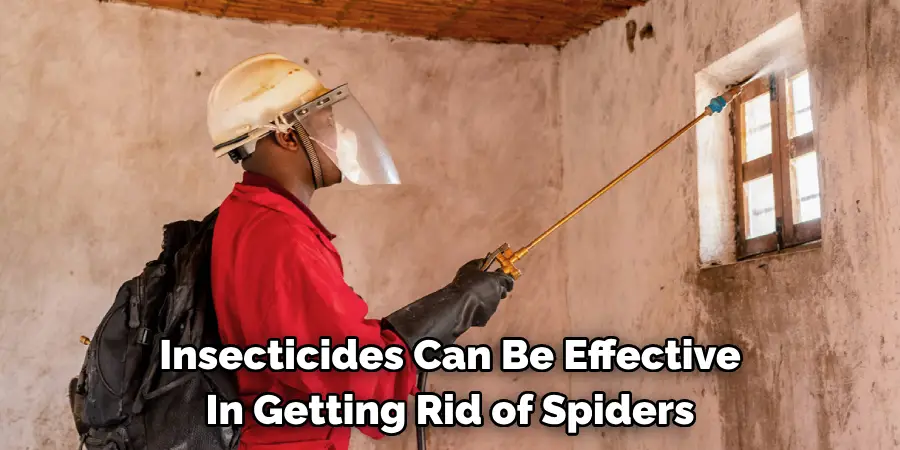 Insecticides Can Be Effective 
In Getting Rid of Spiders 