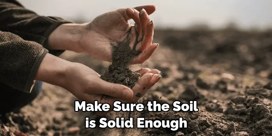 Make Sure the Soil is Solid Enough