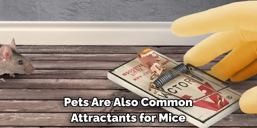 Pets Are Also Common 
Attractants for Mice