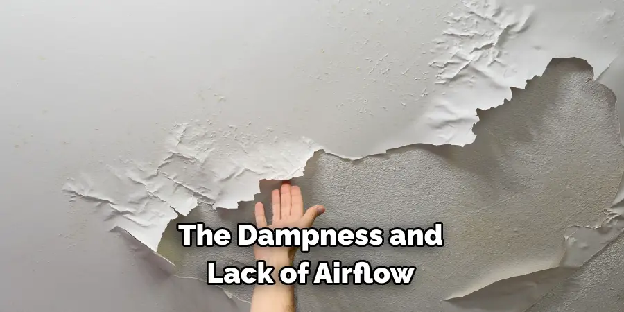 The Dampness and 
Lack of Airflow