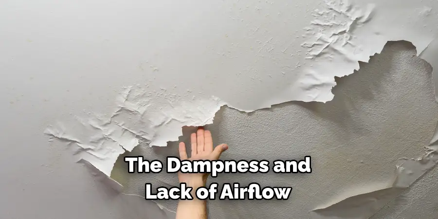 The Dampness and
Lack of Airflow