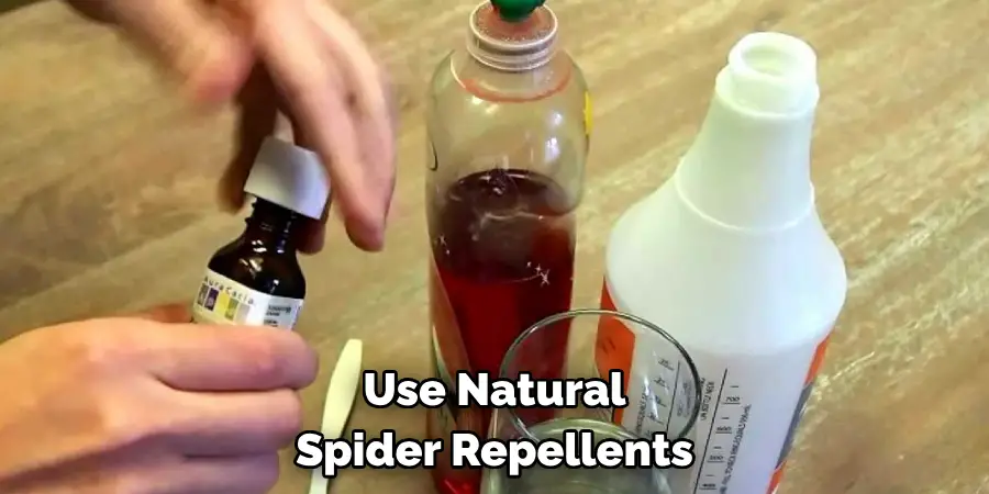 Use Natural Spider Repellents