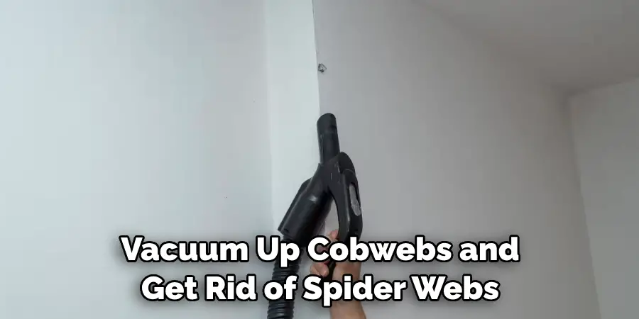 Vacuum Up Cobwebs and Get Rid of Spider Webs